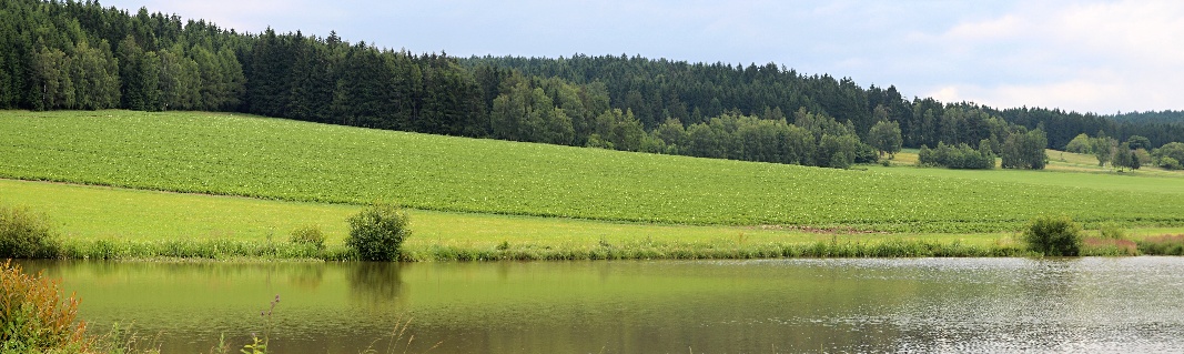 IMG_9312_panorama